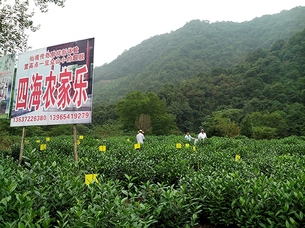 農家樂采摘園